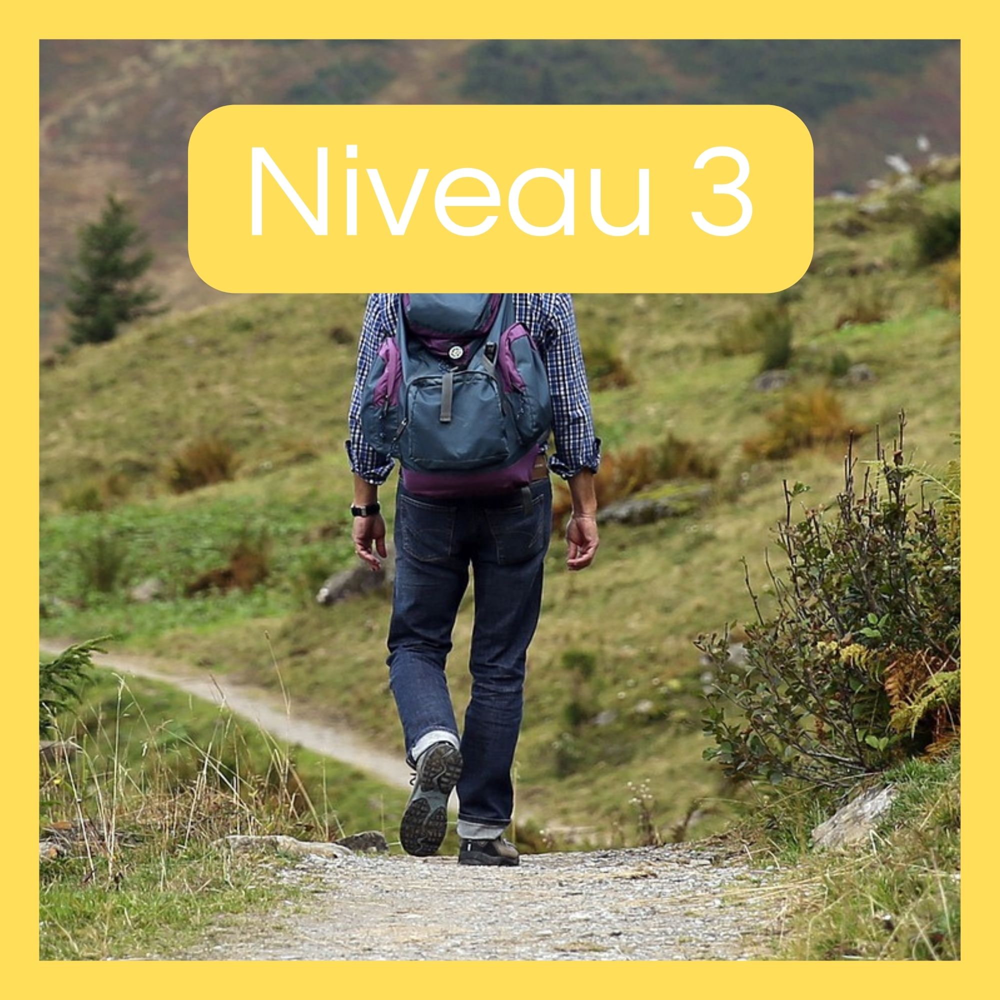 Niveau 3 randonnée